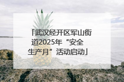 武汉经开区军山街道2025年“安全生产月”活动启动