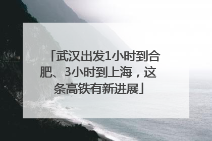 武汉出发1小时到合肥、3小时到上海，这条高铁有新进展