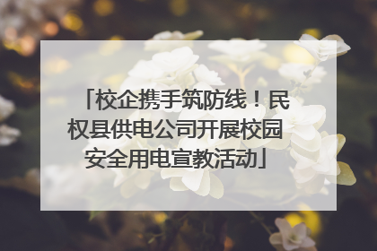 校企携手筑防线！民权县供电公司开展校园安全用电宣教活动