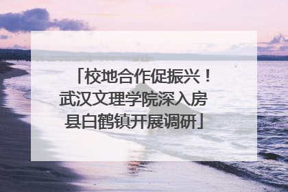 校地合作促振兴！武汉文理学院深入房县白鹤镇开展调研