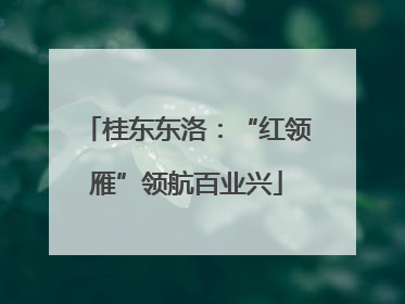 桂东东洛：“红领雁”领航百业兴