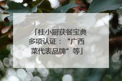 桂小厨获餐宝典多项认证：“广西菜代表品牌”等