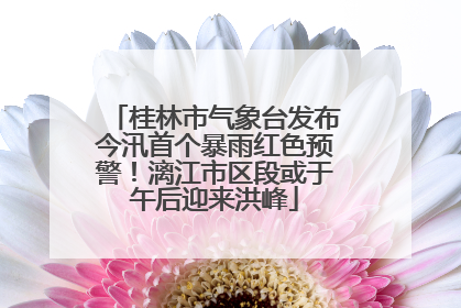 桂林市气象台发布今汛首个暴雨红色预警！漓江市区段或于午后迎来洪峰
