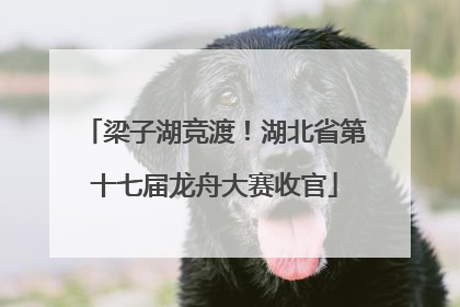 梁子湖竞渡！湖北省第十七届龙舟大赛收官