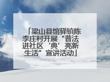 梁山县馆驿镇陈李庄村开展“普法进社区‘典’亮新生活”宣讲活动