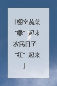 棚室蔬菜“绿”起来 农民日子“红”起来