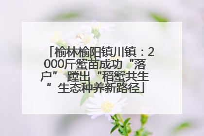 榆林榆阳镇川镇：2000斤蟹苗成功“落户” 蹚出“稻蟹共生”生态种养新路径