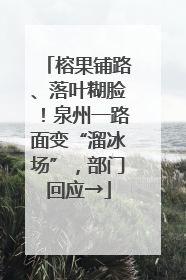 榕果铺路、落叶糊脸！泉州一路面变“溜冰场”，部门回应→