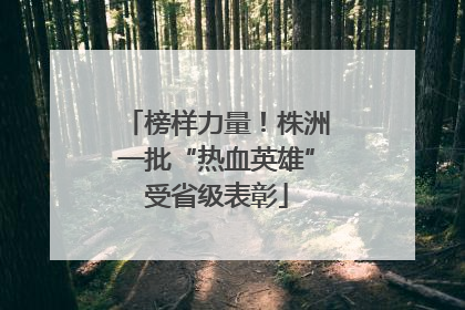榜样力量！株洲一批“热血英雄”受省级表彰