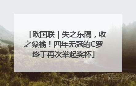 欧国联｜失之东隅，收之桑榆！四年无冠的C罗终于再次举起奖杯