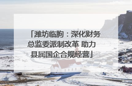 潍坊临朐：深化财务总监委派制改革 助力县属国企合规经营