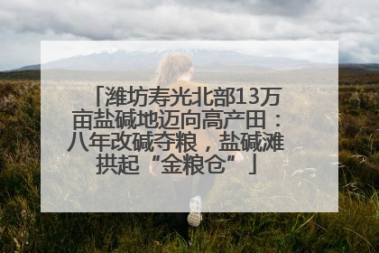 潍坊寿光北部13万亩盐碱地迈向高产田：八年改碱夺粮，盐碱滩拱起“金粮仓”