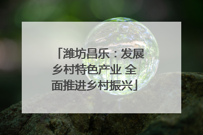 潍坊昌乐：发展乡村特色产业 全面推进乡村振兴