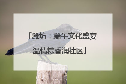 潍坊：端午文化盛宴 温情粽香润社区