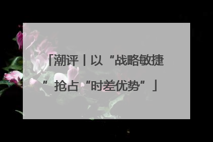 潮评丨以“战略敏捷”抢占“时差优势”