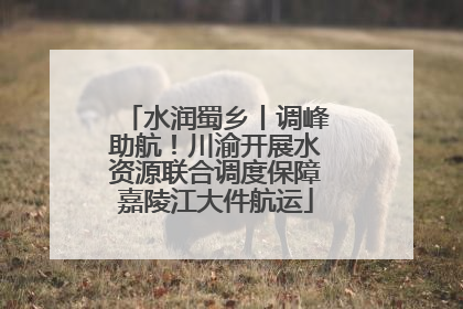 水润蜀乡丨调峰助航！川渝开展水资源联合调度保障嘉陵江大件航运