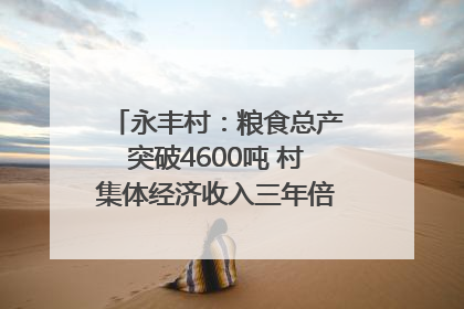 永丰村：粮食总产突破4600吨 村集体经济收入三年倍增｜牵挂的村