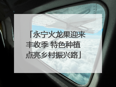 永宁火龙果迎来丰收季 特色种植点亮乡村振兴路