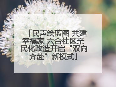 民声绘蓝图 共建幸福家 六合社区亲民化改造开启“双向奔赴”新模式