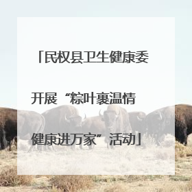 民权县卫生健康委开展“粽叶裹温情 健康进万家”活动