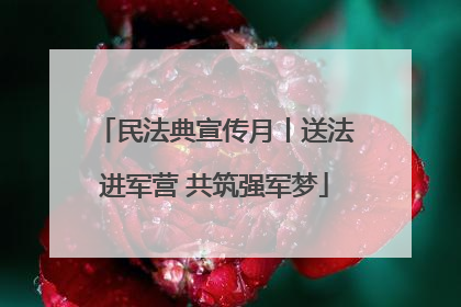 民法典宣传月丨送法进军营 共筑强军梦