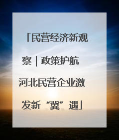 民营经济新观察｜政策护航 河北民营企业激发新“冀”遇