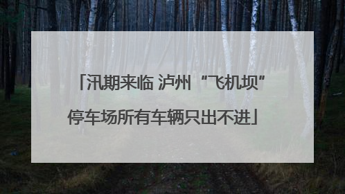 汛期来临 泸州“飞机坝”停车场所有车辆只出不进