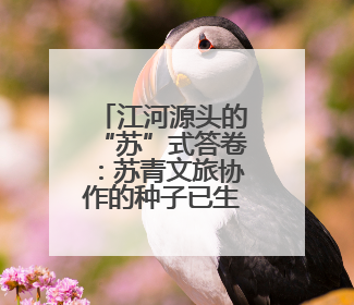 江河源头的“苏”式答卷：苏青文旅协作的种子已生根发芽