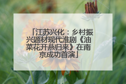 江苏兴化：乡村振兴题材现代淮剧《油菜花开燕归来》在南京成功首演