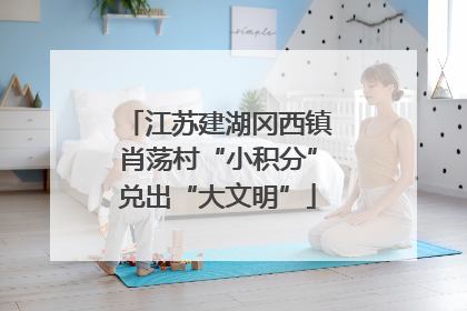 江苏建湖冈西镇肖荡村“小积分”兑出“大文明”