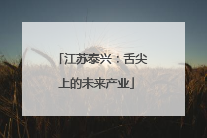江苏泰兴：舌尖上的未来产业