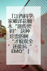江西科学家破译花榈木“遗传密码” 这种珍贵的树 “才貌双全”还能抗“EMO”