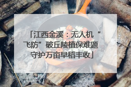 江西金溪：无人机“飞防”破丘陵植保难题 守护万亩早稻丰收