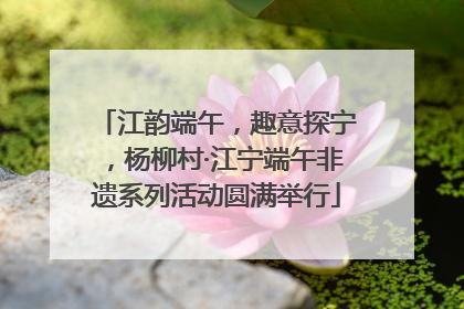 江韵端午，趣意探宁，杨柳村·江宁端午非遗系列活动圆满举行