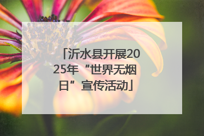 沂水县开展2025年“世界无烟日”宣传活动