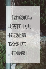 沈晓明与共青团中央书记处第一书记阿东一行会谈