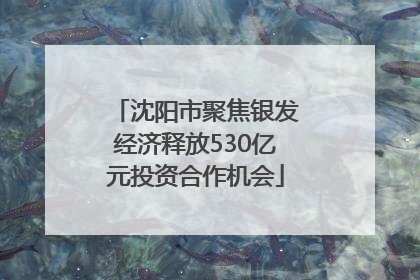 沈阳市聚焦银发经济释放530亿元投资合作机会