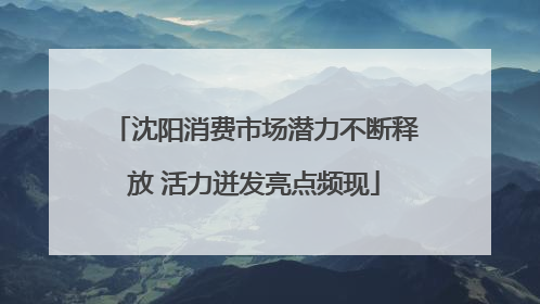 沈阳消费市场潜力不断释放 活力迸发亮点频现