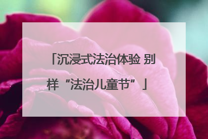 沉浸式法治体验 别样“法治儿童节”