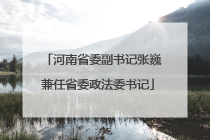 河南省委副书记张巍兼任省委政法委书记