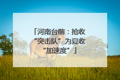 河南台前：抢收“突击队”为夏收“加速度”