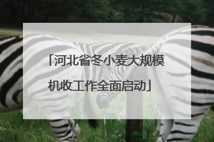 河北省冬小麦大规模机收工作全面启动