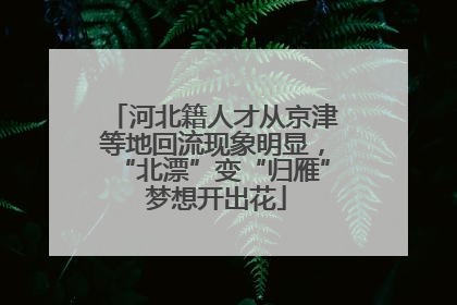 河北籍人才从京津等地回流现象明显，“北漂”变“归雁” 梦想开出花