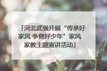 河北武强开展“传承好家风 争做好少年”家风家教主题宣讲活动