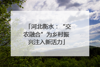 河北衡水：“交农融合”为乡村振兴注入新活力