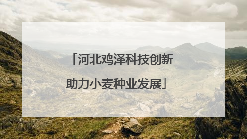 河北鸡泽科技创新助力小麦种业发展