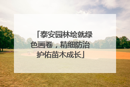 泰安园林绘就绿色画卷，精细防治护佑苗木成长