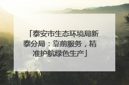 泰安市生态环境局新泰分局：靠前服务，精准护航绿色生产
