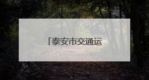 泰安市交通运输综合执法支队开展“安全生产月”系列活动