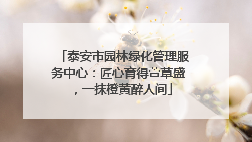 泰安市园林绿化管理服务中心：匠心育得萱草盛，一抹橙黄醉人间